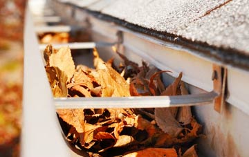 Ipswich gutter cleaning companies