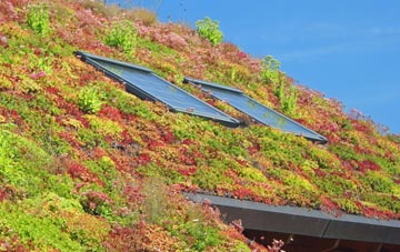 Ipswich living roof systems
